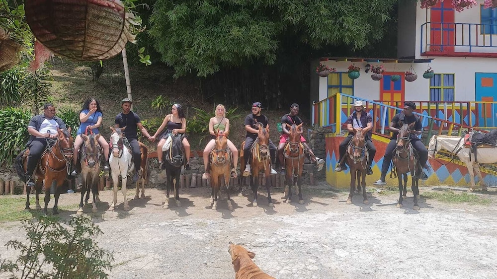 Don leandro Coffee farm Glamping