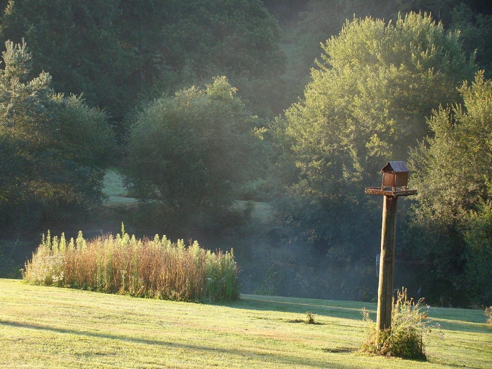 Photo 49