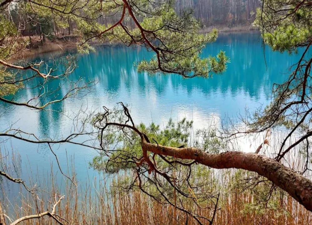 Lake Breeze Retreat, Klitten