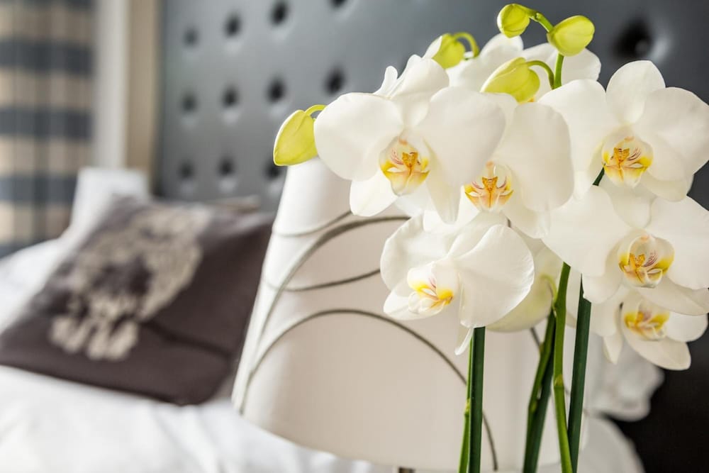 Romantica Rooms