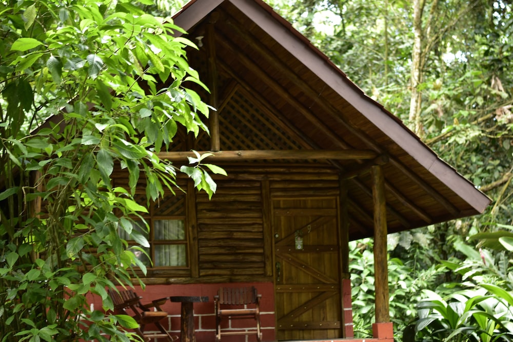 Arenal Oasis