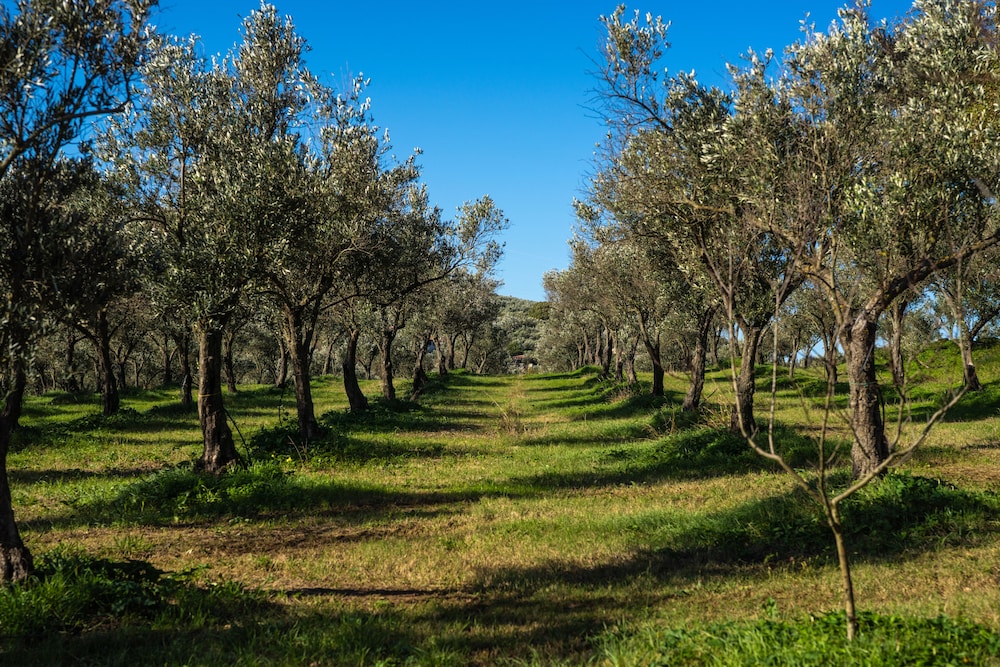Agriturismo Costantino