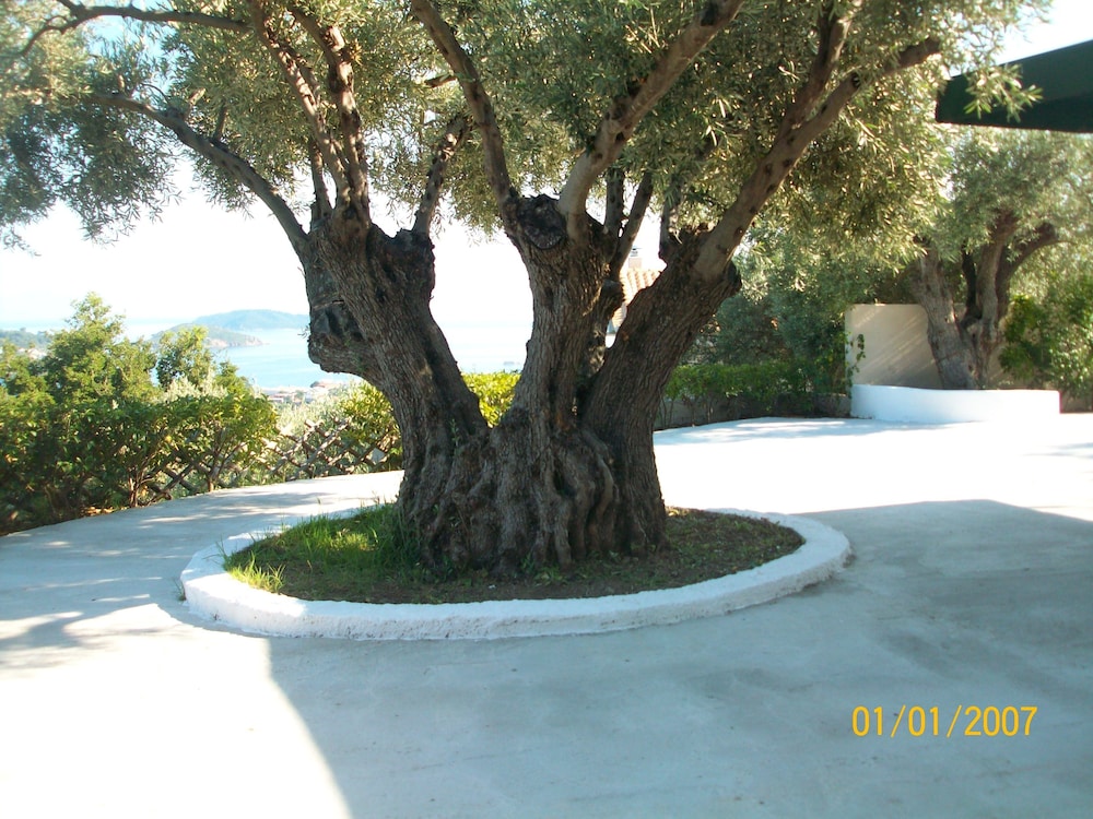 Villa L&M Skiathos