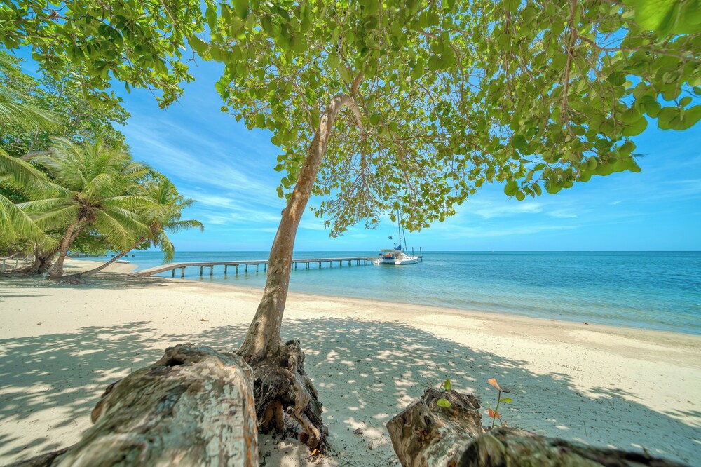 Watercolors Roatan