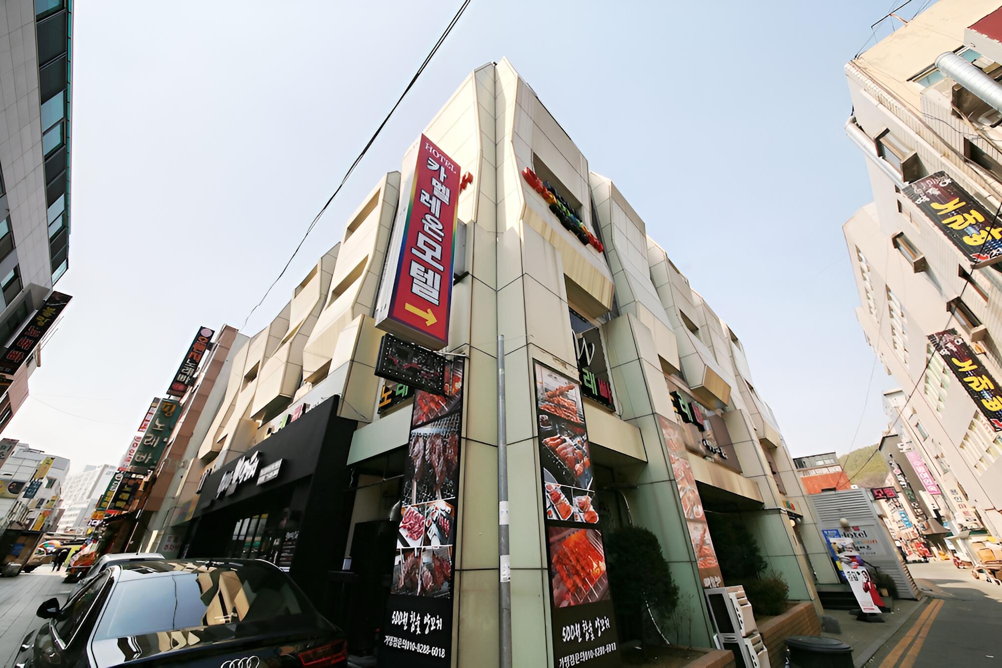 Yongin Chameleon view 4