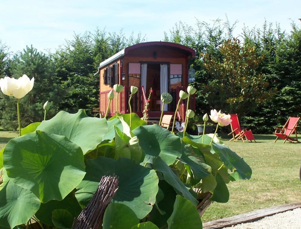 Photo 25