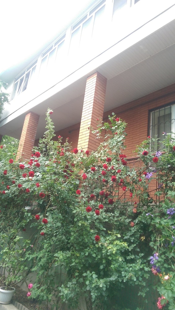 Guest House on Griboedovsky 27a - hostel