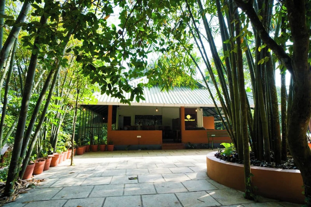 Holiday Courtyard