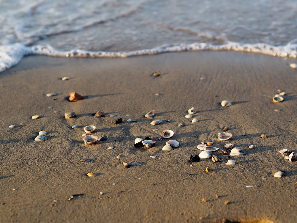 Adorable Flat With Terrace in Bibione - Beahost photo 3