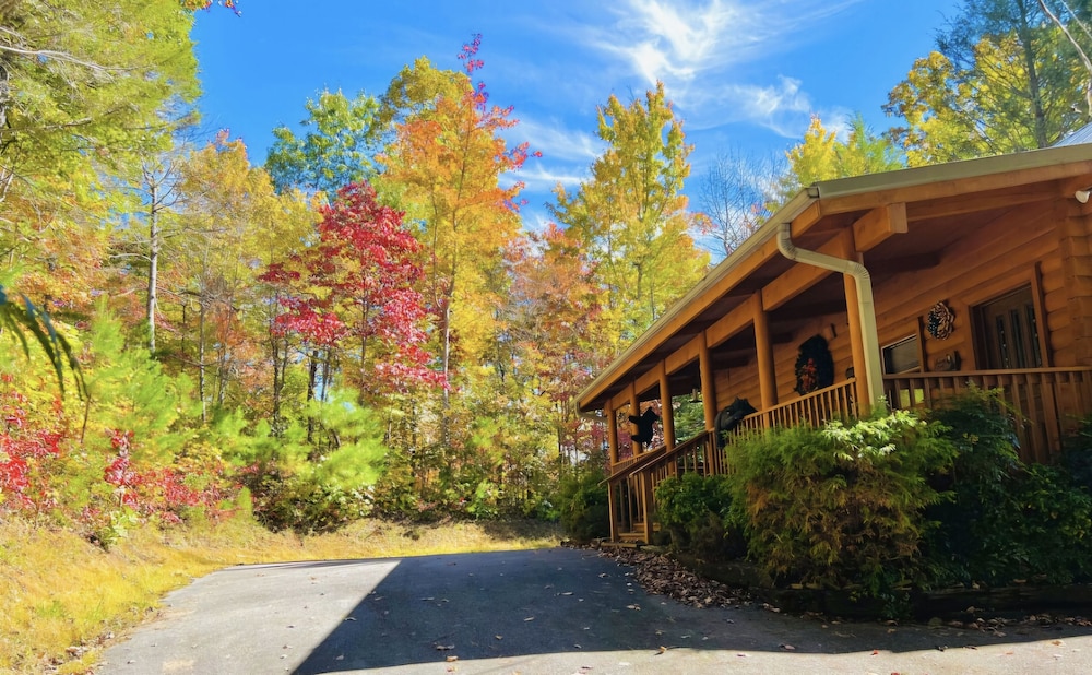 Falcon Crest 1 Bedroom Cabin