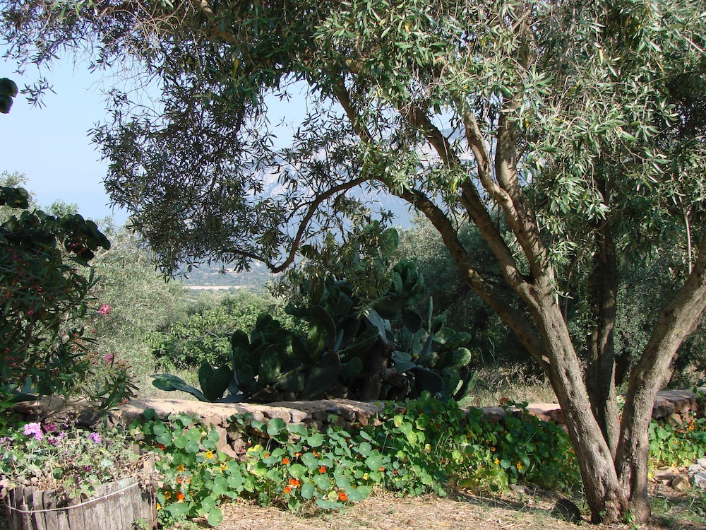 Agriturismo Su Tiresi
