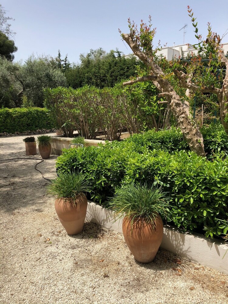 Tenuta Belvedere