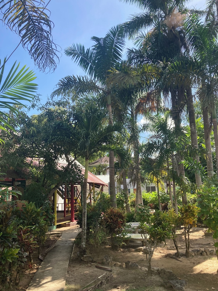 Yoga Dreams Negril