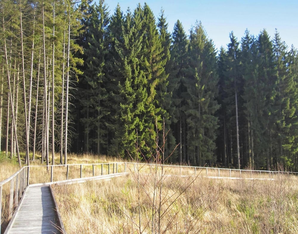 Apartment in Eifel Near Hiking Trails