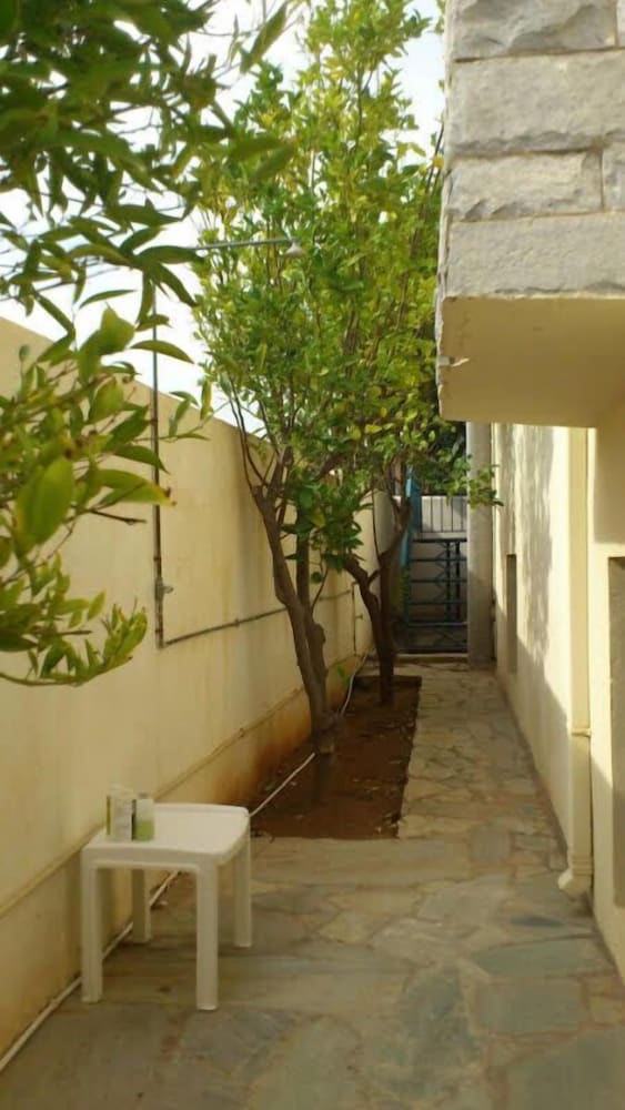 Photo 20