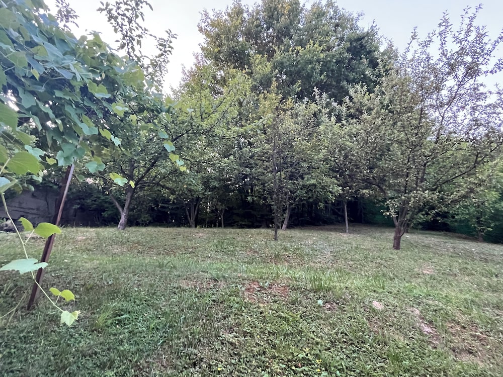 Best of Ilidza Villa