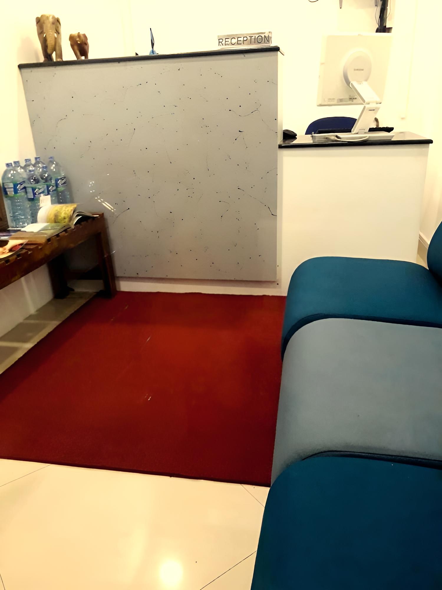 Bunk Planet, fotografía 5