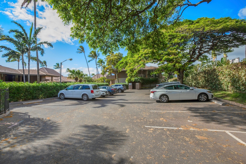 Maui Eldorado MEL-A107 by KBM - Image 3