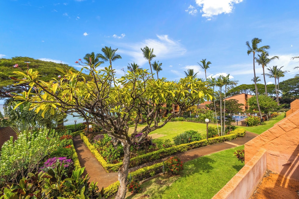 Kuleana Club - 510