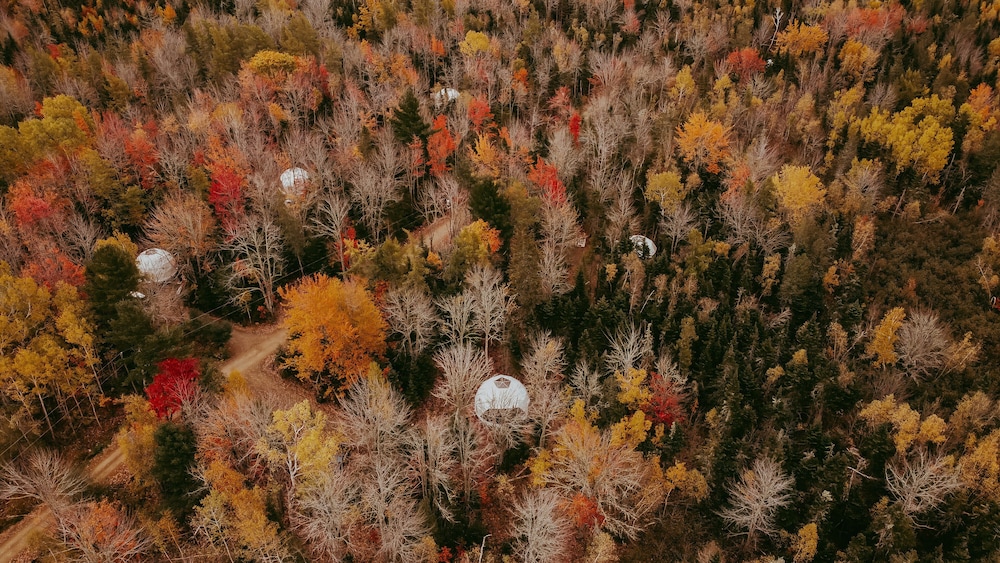 Glamp Camp