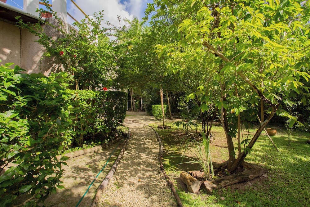 Mini Pini Birdwatching and Cenote Loft4 you Only