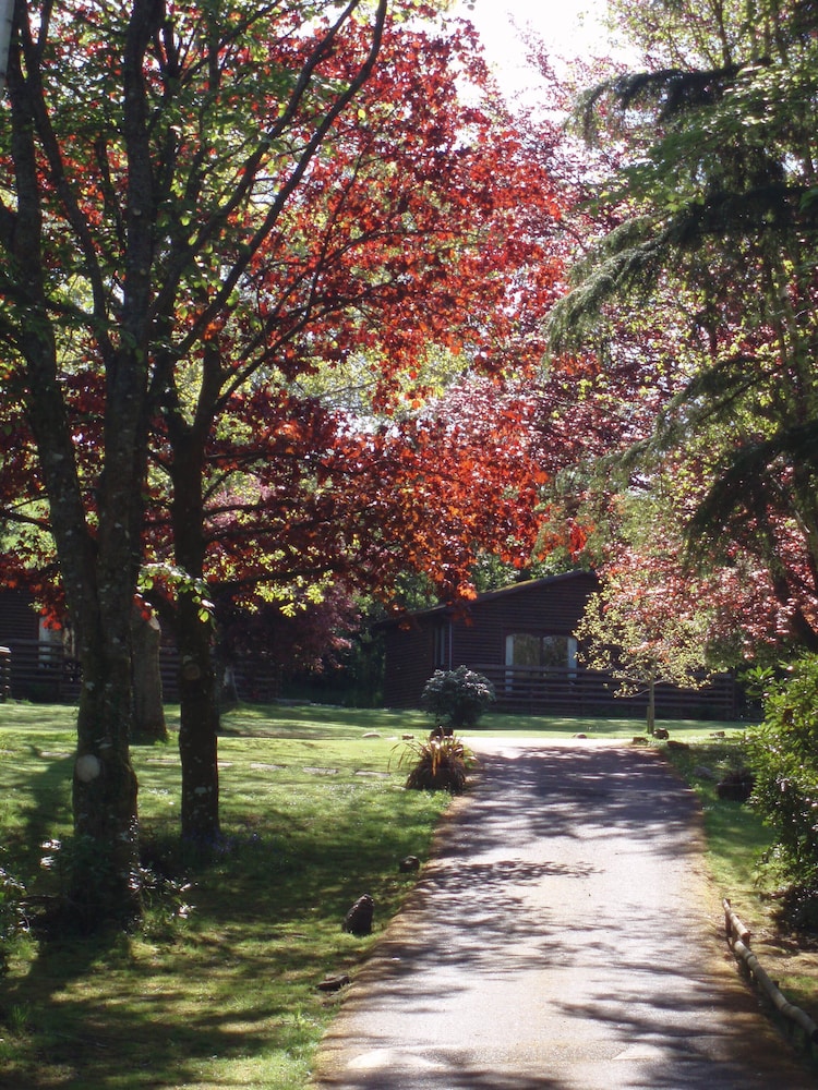 Ruthern Valley Holidays