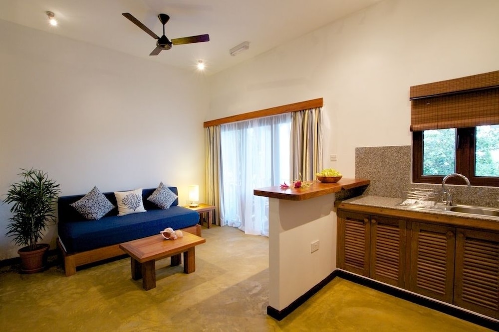 L'Hirondelle photo 4