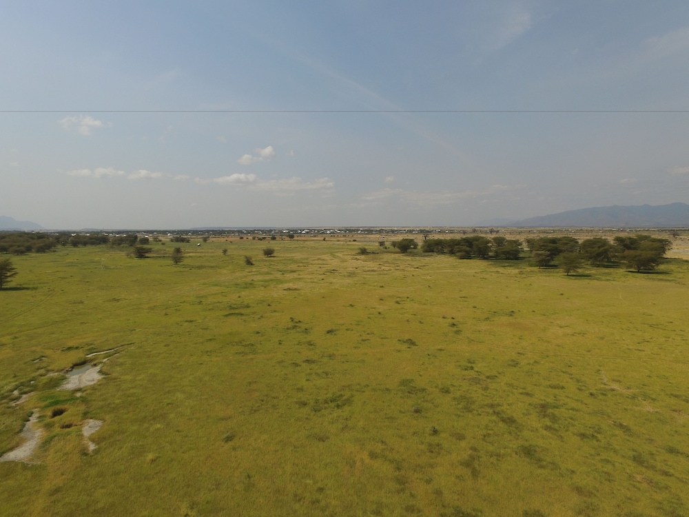 Africa Safari Lake Manyara