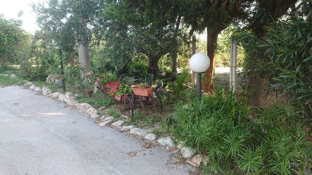 Photo 6