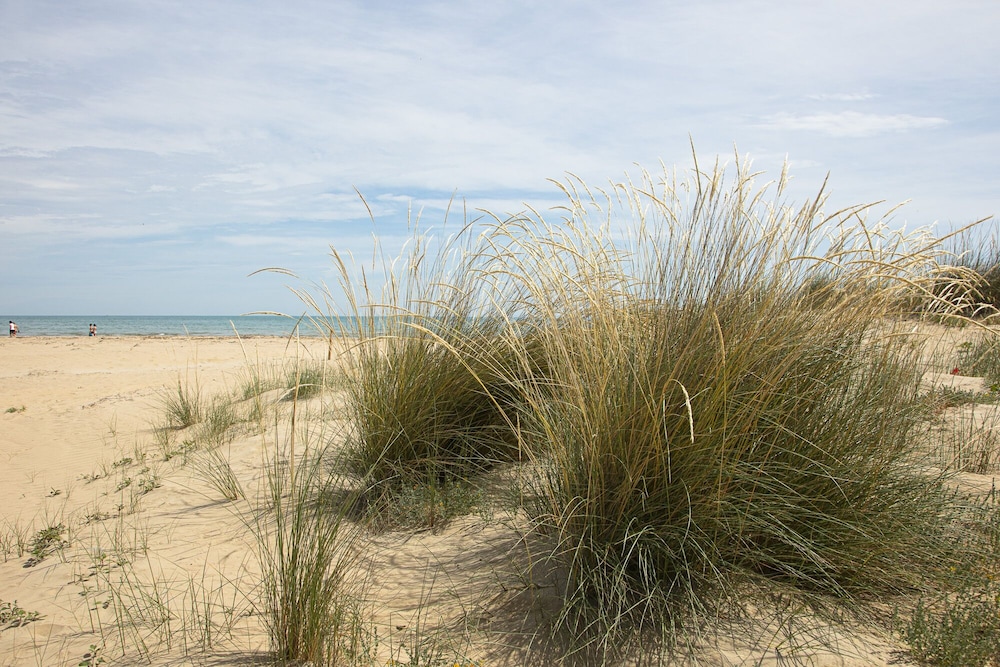other