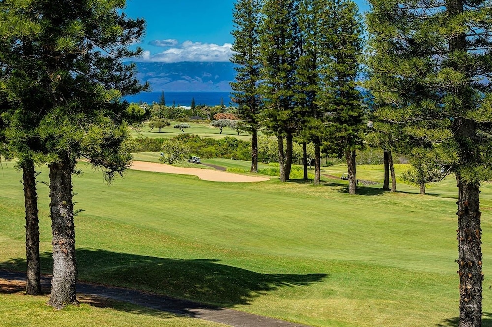 Kapalua Golf Villas 24t3-4 1 Bedroom Condo