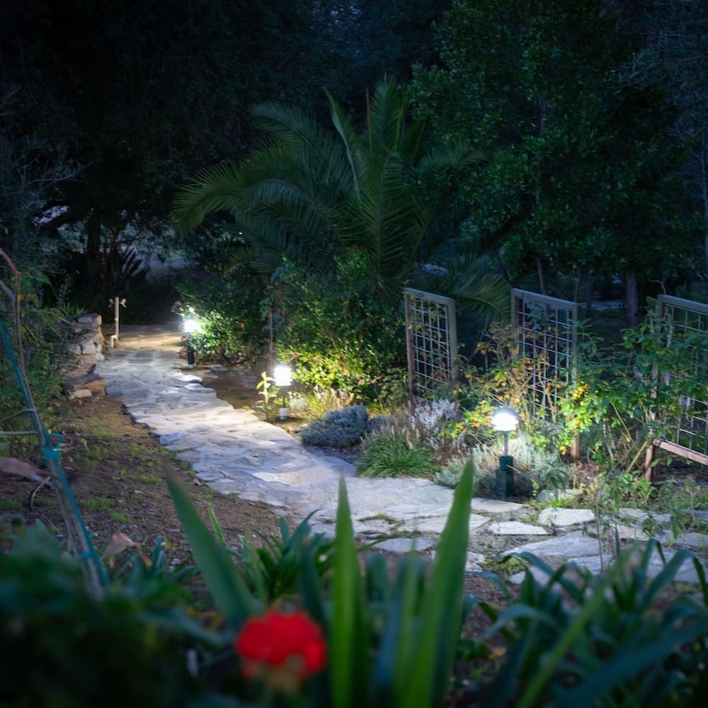 Nature Inspired Villa Designed for Wellness
