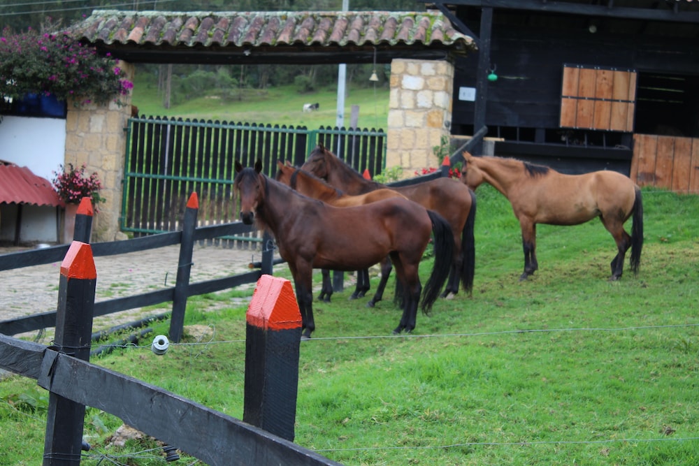 El Hostel Granjero