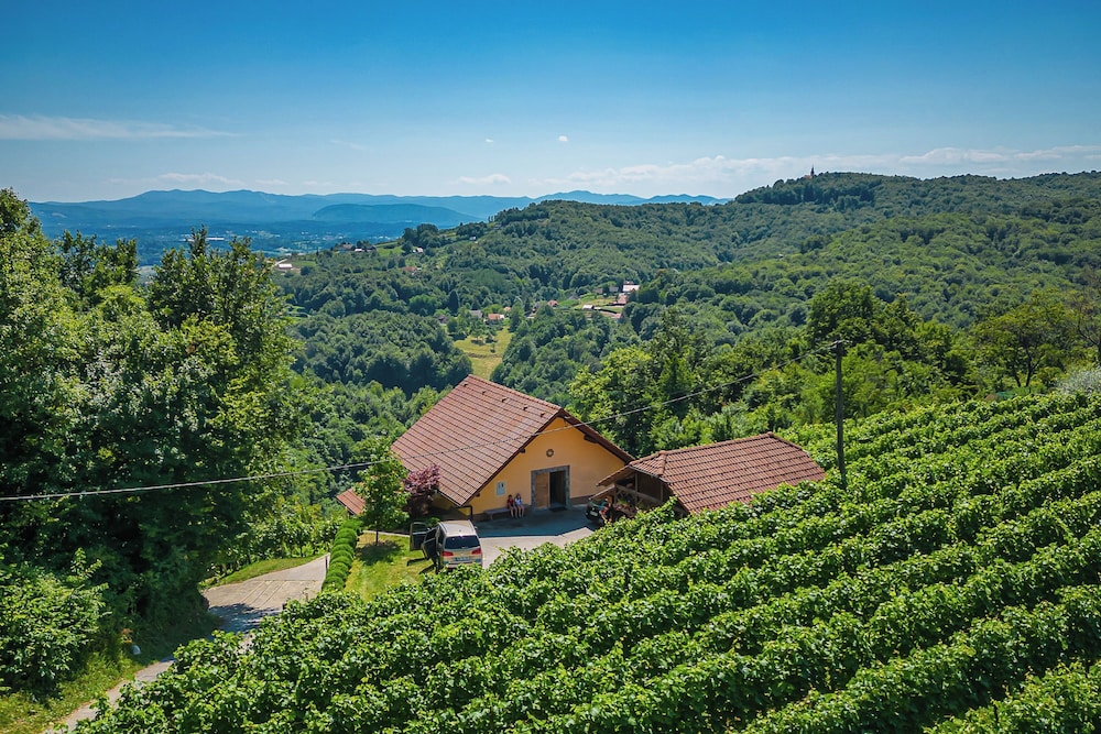 Vineyard Cottage Ucman view 2