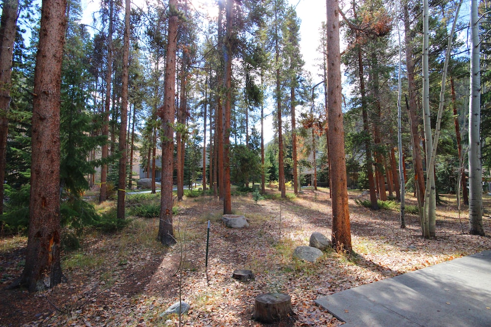 Keystone Gulch Townhomes 1228 view 5