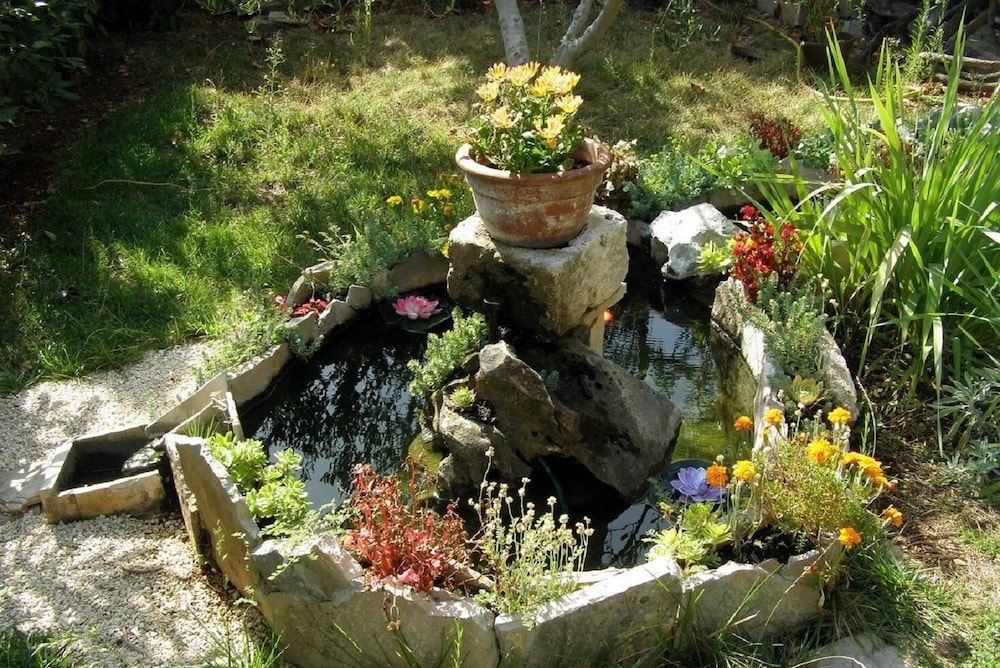 Photo 15