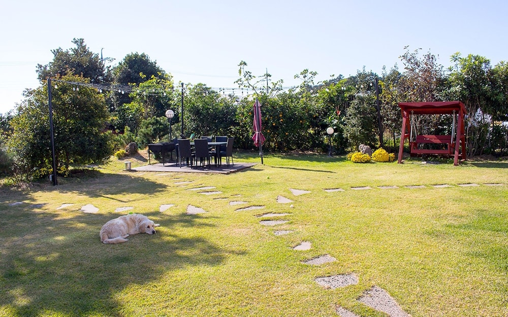 Jeju Sangchune Pension and Guest House view 2