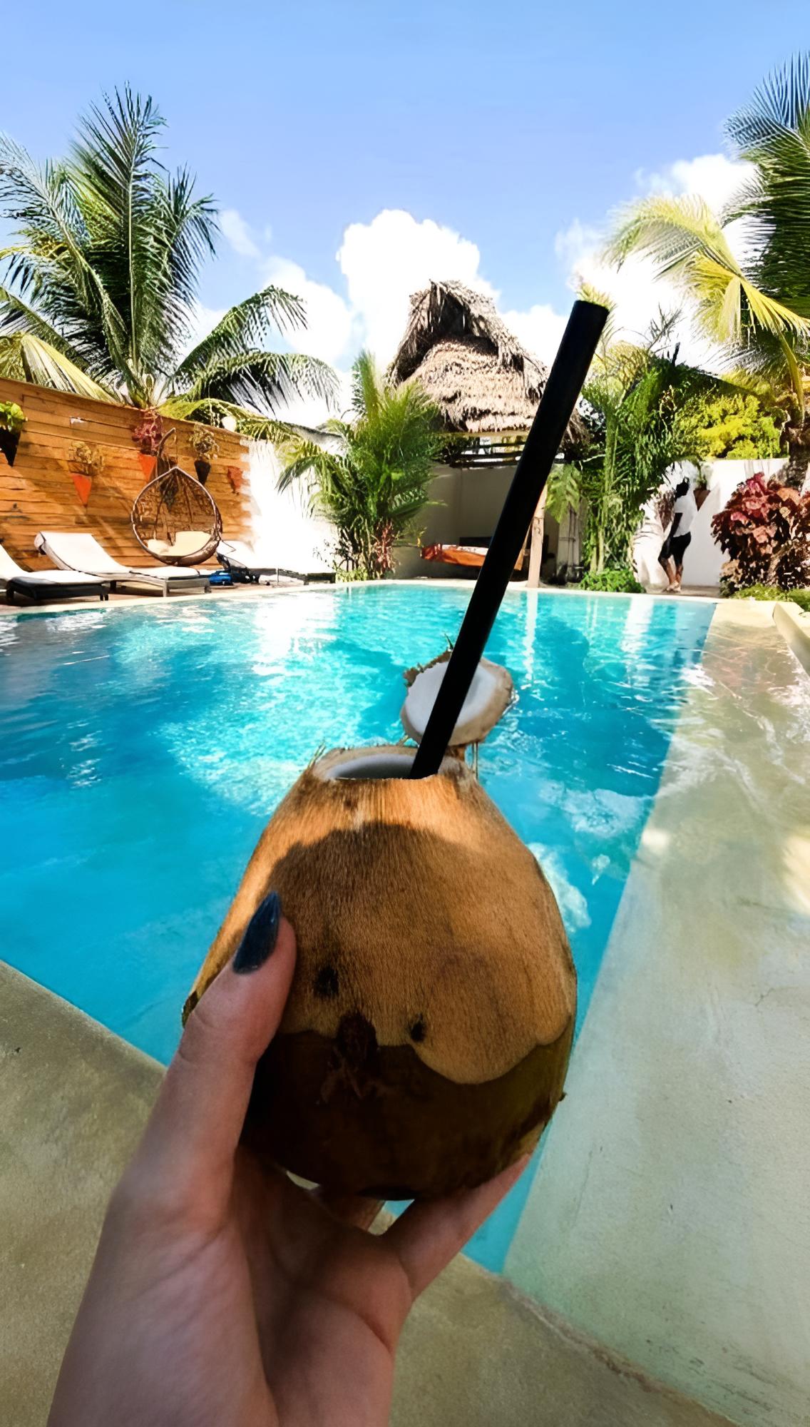 FATUMA HOUSE HOTEL view 3