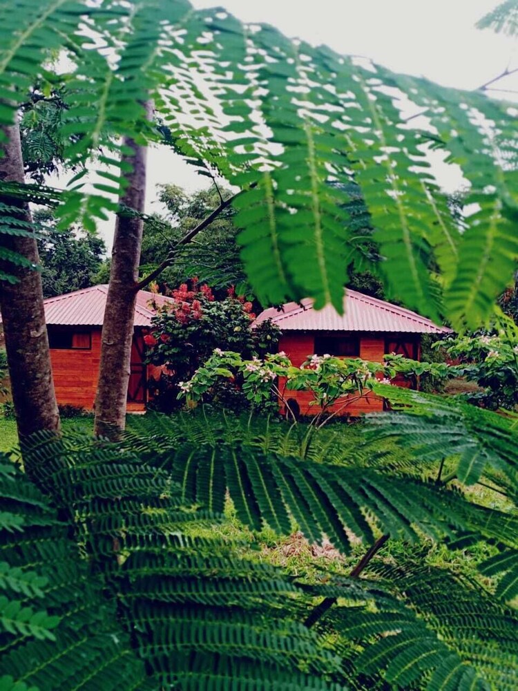 Villa Rodeo Lodge view 5