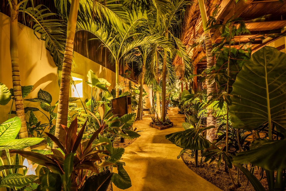 Hotel Boutique TerraNova - Property Image 18