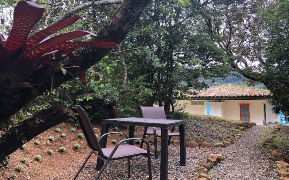 Dantica Cloud Forest Lodge