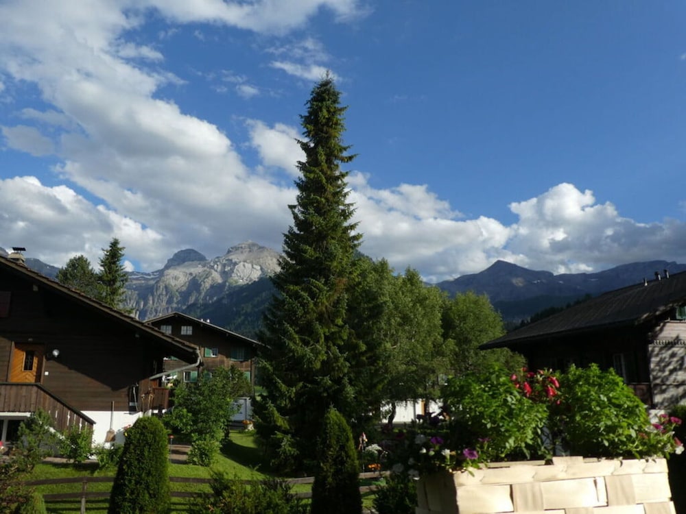Charming Apartment in Lenk