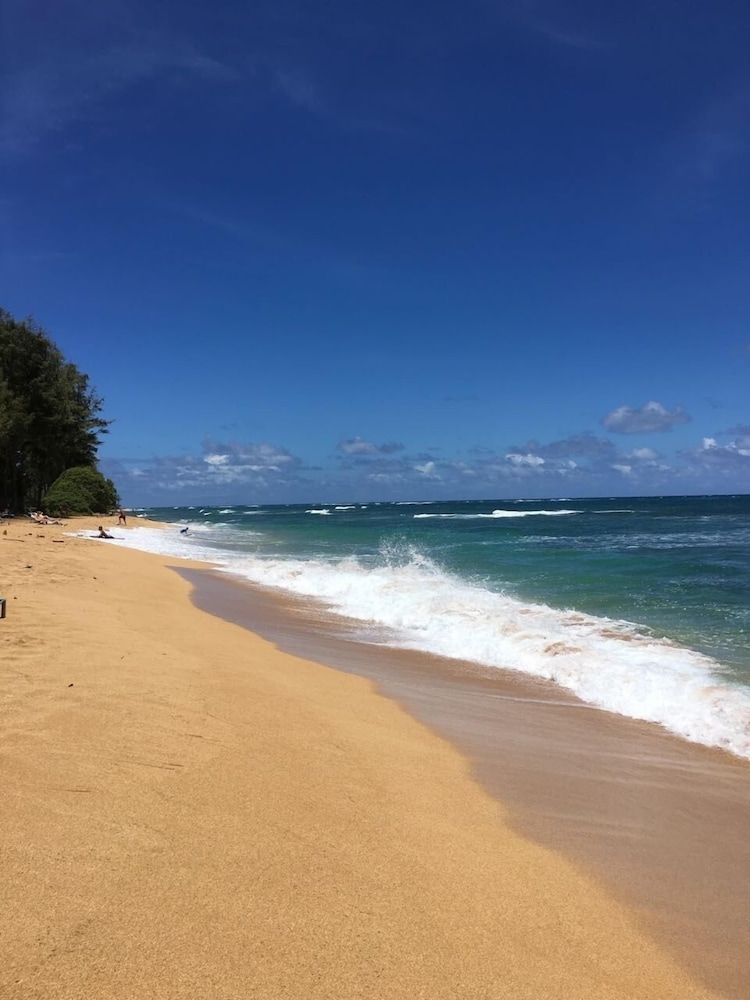 Kauai Hale Iki 1 Bedroom Home