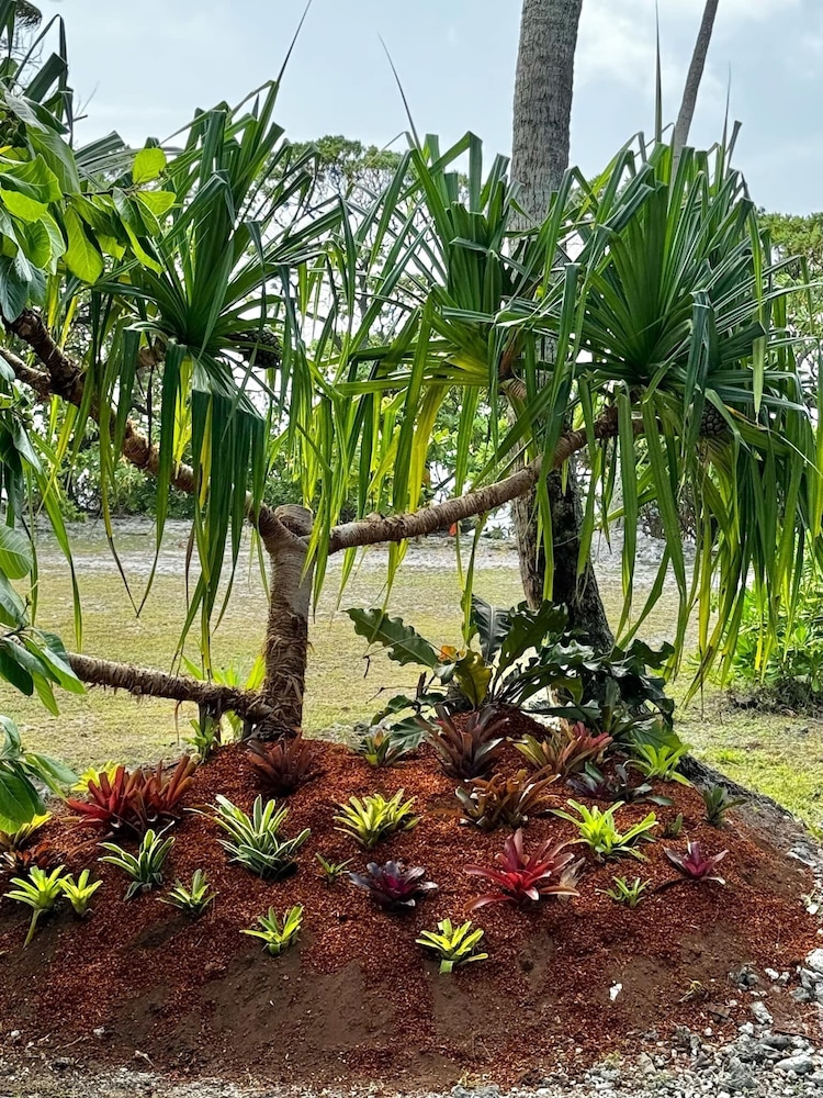 Moorea Reef Bungalows