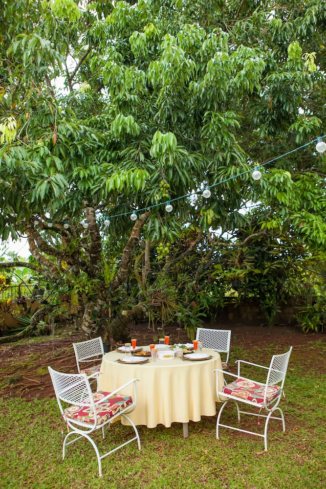 Casa da Buena Vista - Photo 91