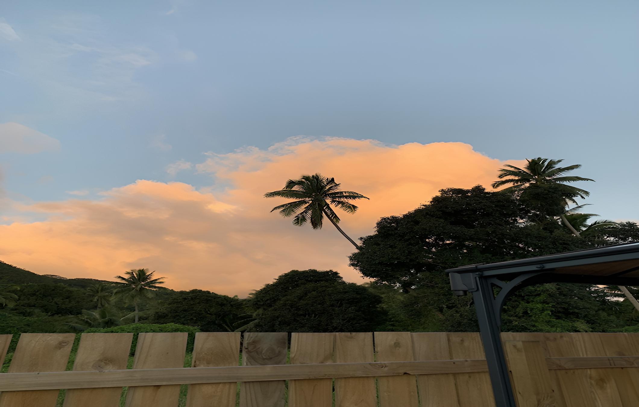 Palm Tree Villas Rarotonga