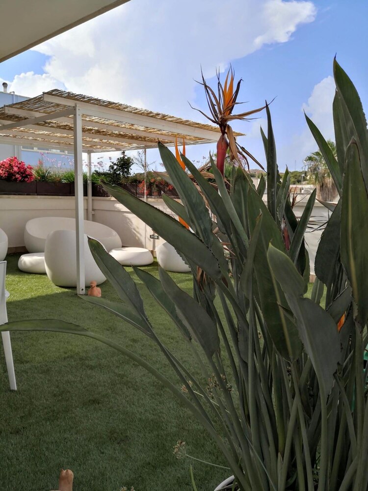 Bed & Breakfast Aria di Mare