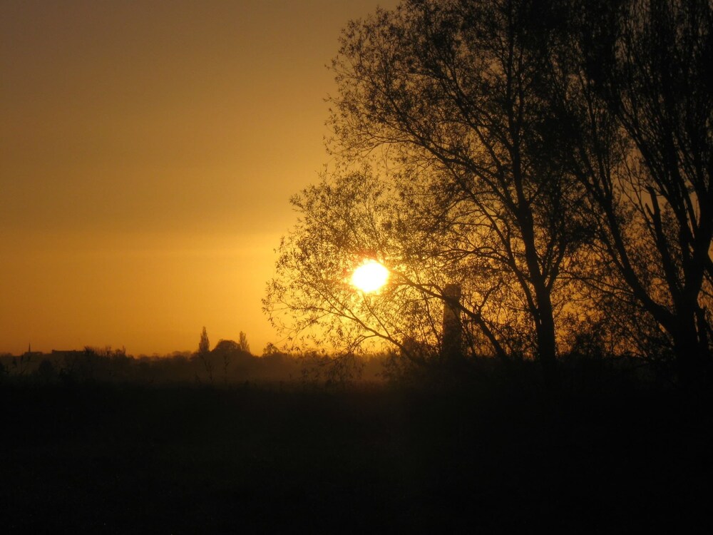 Photo 32