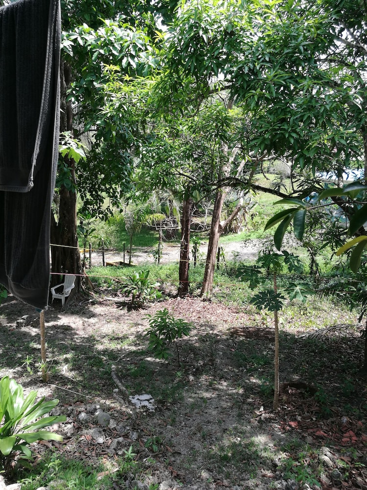Photo 46