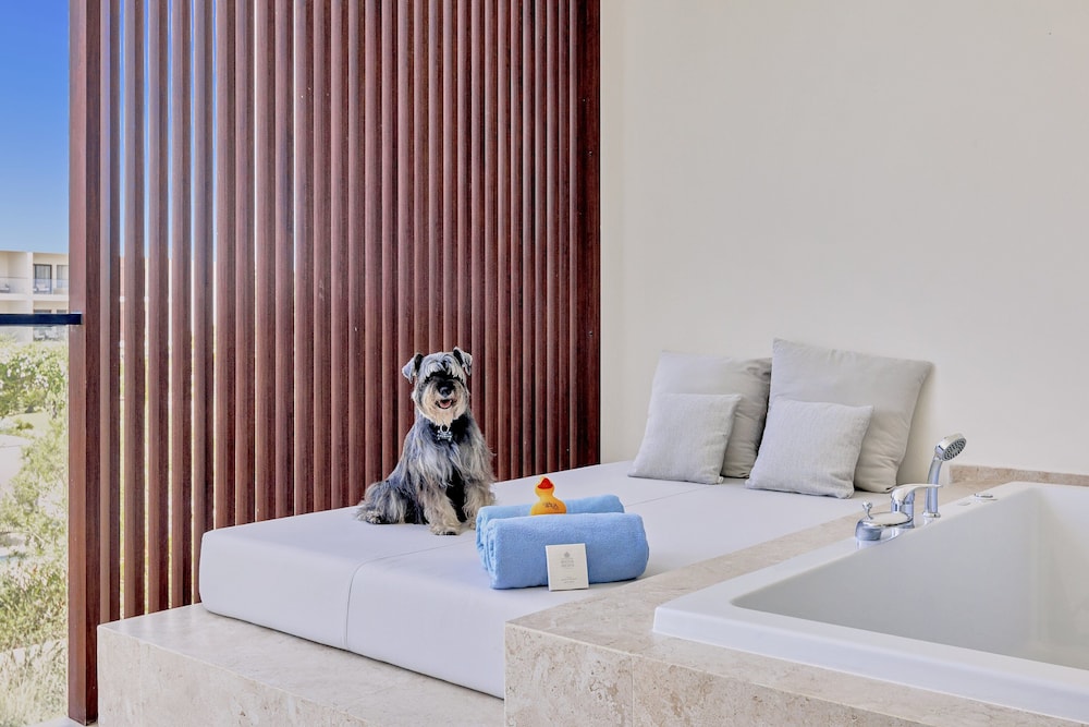 Punta Cana Vacations - Live Aqua Punta Cana - All Inclusive - Adults Only - Property Image 94